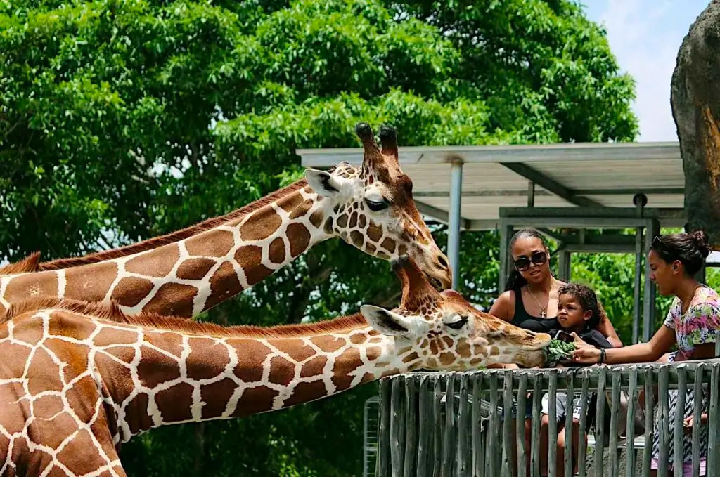 Riverbanks Zoo Logo